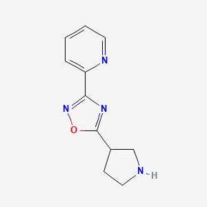 molecular formula C11H12N4O B1651303 2-(5-Pyrrolidin-3-yl-1,2,4-oxadiazol-3-yl)pyridine CAS No. 1256805-57-8