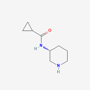 molecular formula C9H16N2O B1651573 N-[(3R)-哌啶-3-基]环丙烷甲酰胺 CAS No. 1286317-54-1