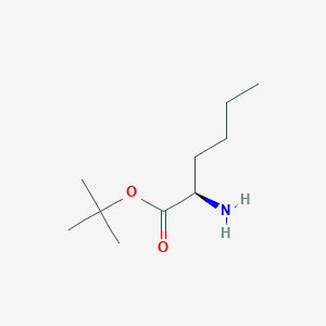 molecular formula C10H21NO2 B1652695 D-Norleucine tert-butyl ester CAS No. 158741-08-3