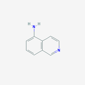 molecular formula C9H8N2 B016527 5-氨基异喹啉 CAS No. 1125-60-6