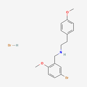 molecular formula C17H21Br2NO2 B1652824 N-(5-bromo-2-methoxybenzyl)-2-(4-methoxyphenyl)ethanamine hydrobromide CAS No. 1609403-91-9