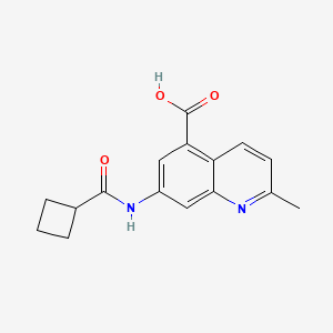 7-[(Cyclobutylcarbonyl)amino]-2-methyl-5-quinolinecarboxylic acid