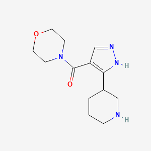 morpholin-4-yl-(5-piperidin-3-yl-1H-pyrazol-4-yl)methanone
