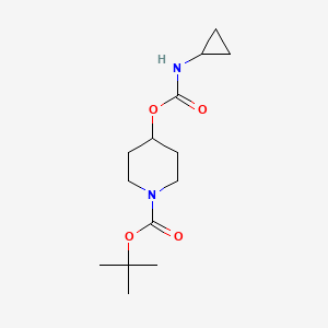 molecular formula C14H24N2O4 B1653655 Tert-butyl 4-(cyclopropylcarbamoyloxy)piperidine-1-carboxylate CAS No. 1884704-69-1