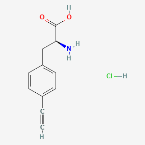 molecular formula C11H12ClNO2 B1653659 (S)-2-Amino-3-(4-ethynylphenyl)propanoic acid hydrochloride CAS No. 188640-63-3