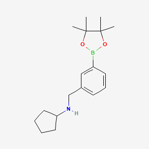 molecular formula C18H28BNO2 B1654039 N-[[3-(4,4,5,5-tetramethyl-1,3,2-dioxaborolan-2-yl)phenyl]methyl]cyclopentanamine CAS No. 2096330-08-2