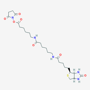 molecular formula C₂₆H₄₁N₅O₇S B016542 Biotin-XX-NHS CAS No. 89889-52-1