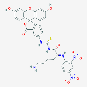 molecular formula C33H28N6O10S B165420 2,4-Dinitrophenol-lysine-fluorescein conjugate CAS No. 134649-45-9