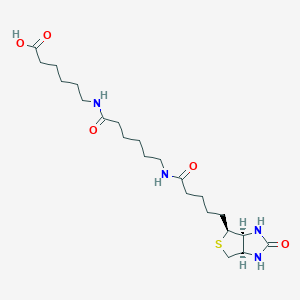 molecular formula C22H38N4O5S B016543 Biotin-C5-amino-C5-amino CAS No. 89889-51-0