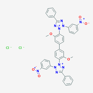 3-Nitrotetrazolium blue chloride