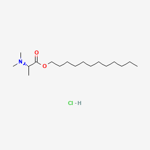 molecular formula C17H36ClNO2 B1655446 Dodecyl 2-(dimethylamino)propanoate hydrochloride CAS No. 365515-65-7