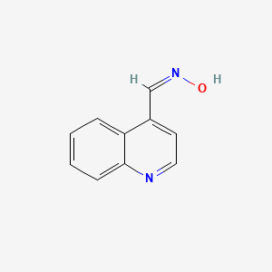 molecular formula C10H8N2O B1655642 4-Quinolinecarbaldehyde oxime CAS No. 39977-74-7