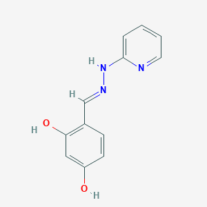 2,4-Dihydroxybenzaldehyde pyridin-2-ylhydrazone