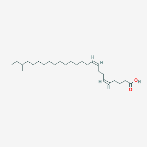 molecular formula C26H48O2 B165665 23-methyl-5Z,9Z-pentacosadienoic acid CAS No. 126201-34-1