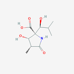 molecular formula C10H17NO5 B016567 (3R,4S,5R)-4-Hydroxy-5-[(1S)-1-hydroxy-2-methylpropyl]-3-methyl-2-pyrrolidinone-5-carboxylic Acid CAS No. 145451-97-4