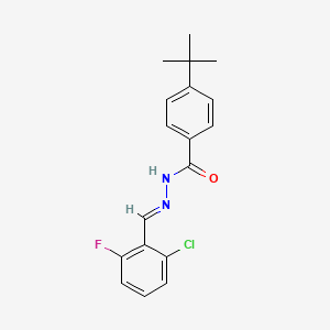 4-tert-butyl-N-[(E)-(2-chloro-6-fluorophenyl)methylideneamino]benzamide