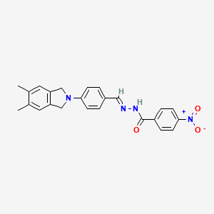 molecular formula C24H22N4O3 B1657162 N-[(E)-[4-(5,6-dimethyl-1,3-dihydroisoindol-2-yl)phenyl]methylideneamino]-4-nitrobenzamide CAS No. 5561-58-0