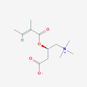 molecular formula C12H21NO4 B1659353 Tiglylcarnitine CAS No. 64681-36-3