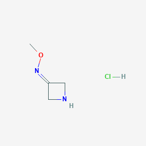 molecular formula C4H9ClN2O B1661684 Azetidin-3-one O-methyl oxime hydrochloride CAS No. 935668-46-5