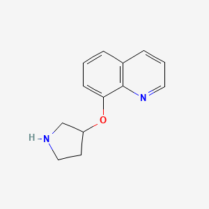 molecular formula C13H14N2O B1661751 8-Pyrrolidin-3-yloxyquinoline CAS No. 946681-92-1