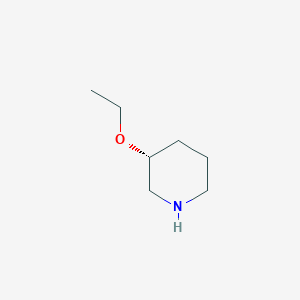 molecular formula C7H15NO B1661807 (3R)-3-ethoxypiperidine CAS No. 956429-50-8