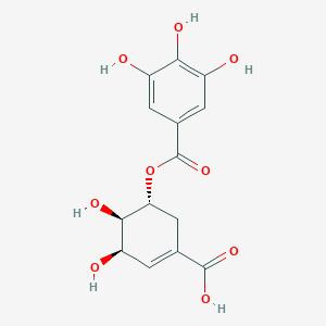 molecular formula C14H14O9 B1661810 5-Galloylshikimic acid CAS No. 95719-51-0