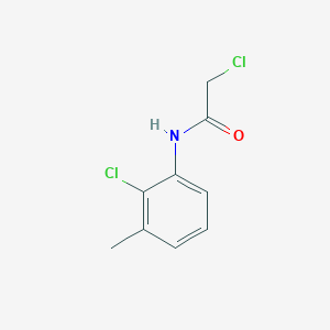 molecular formula C9H9Cl2NO B1661899 2-Chloro-N-(2-chloro-3-methylphenyl)acetamide CAS No. 99585-89-4
