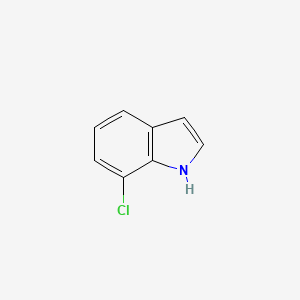 molecular formula C8H6ClN B1661978 7-Chloroindole CAS No. 53924-05-3