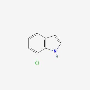 molecular formula C8H6ClN B1661978 7-Chloro-1H-indole CAS No. 53924-05-3