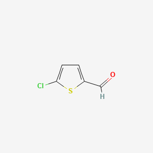 molecular formula C5H3ClOS B1662047 2-Chloro-5-thiophenecarboxaldehyde CAS No. 7283-96-7