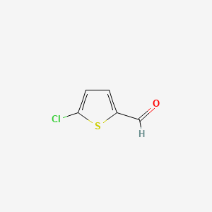 molecular formula C5H3ClOS B1662047 5-Chlorothiophene-2-carbaldehyde CAS No. 7283-96-7