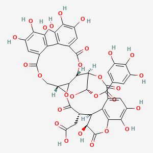 molecular formula C41H30O27 B1662235 Chebulagic Acid CAS No. 23094-71-5