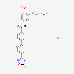 molecular formula C28H31ClN4O4 B1662271 N-[3-[2-(dimethylamino)ethoxy]-4-methoxyphenyl]-4-[2-methyl-4-(5-methyl-1,2,4-oxadiazol-3-yl)phenyl]benzamide;hydrochloride CAS No. 193611-67-5