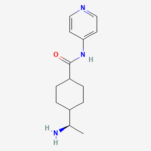 molecular formula C14H21N3O B1662462 Ximelegatran CAS No. 146986-50-7