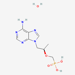 molecular formula C9H16N5O5P B1662510 Tenofovir hydrate CAS No. 206184-49-8