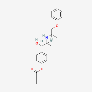 molecular formula C₂₃H₃₁NO₄ B1662741 4-[1-Hydroxy-2-[(1-methyl-2-phenoxyethyl)amino]propyl]phenyl pivalate CAS No. 67160-74-1
