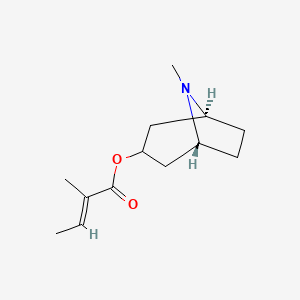 molecular formula C₁₃H₂₁NO₂ B1662743 虎尾草托品 CAS No. 495-83-0