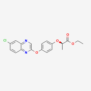 molecular formula C19H17ClN2O4 B1662796 Quizalofop-p-ethyl CAS No. 100646-51-3