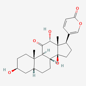 molecular formula C24H32O6 B1662899 Pseudobufarenogin CAS No. 17008-69-4
