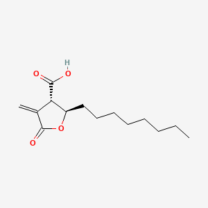molecular formula C₁₄H₂₂O₄ B1662914 trans-4-Methylene-2-octyl-5-oxotetrahydrofuran-3-carboxylic acid CAS No. 191282-48-1
