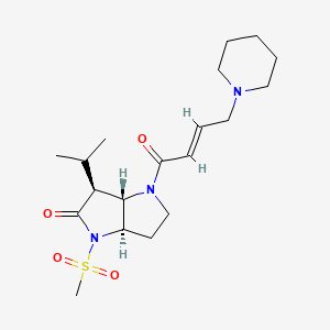 molecular formula C19H31N3O4S B1662915 GW311616 CAS No. 198062-54-3