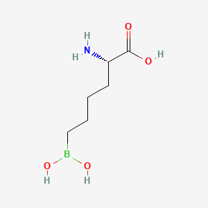 molecular formula C6H14BNO4 B1662968 2(s)-Amino-6-boronohexanoic acid CAS No. 222638-65-5