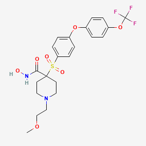 N-hydroxy-1-(2-methoxyethyl)-4-[4-[4-(trifluoromethoxy)phenoxy]phenyl]sulfonylpiperidine-4-carboxamide
