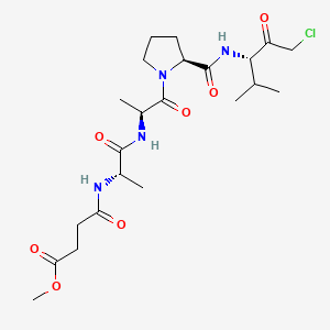 molecular formula C22H35ClN4O7 B1663094 MeOSuc-AAPV-CMK CAS No. 65144-34-5
