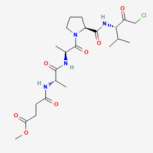 molecular formula C22H35ClN4O7 B1663094 Methoxysuccinyl-alanyl-alanyl-prolyl-valine chloromethyl ketone CAS No. 65144-34-5