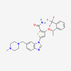 molecular formula C27H28F3N5O2S B1663271 5-[6-[(4-methylpiperazin-1-yl)methyl]benzimidazol-1-yl]-3-[(1S)-1-[2-(trifluoromethyl)phenyl]ethoxy]thiophene-2-carboxamide CAS No. 929095-27-2