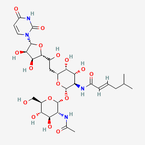 molecular formula C₃₈H₆₂N₄O₆ B1663573 Tunicamycin CAS No. 11089-65-9