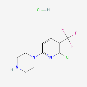 molecular formula C10H12Cl2F3N3 B1663714 1-(6-Chloro-5-(trifluoromethyl)pyridin-2-YL)piperazine hydrochloride CAS No. 210821-63-9