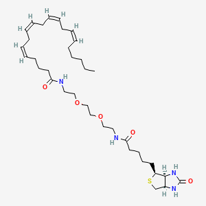 molecular formula C36H60N4O5S B1663732 Biotin anandamide CAS No. 956605-71-3