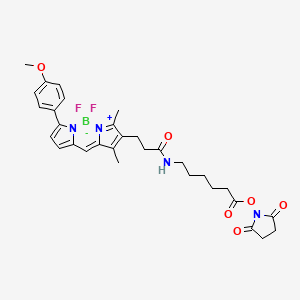 molecular formula C31H35BF2N4O6 B1663739 (T-4)-[N-[6-[(2,5-Dioxo-1-pyrrolidinyl)oxy]-6-oxohexyl]-5-[[5-(4-methoxyphenyl)-2H-pyrrol-2-ylidene-kappaN]methyl]-2,4-dimethyl-1H-pyrrole-3-propanamidato-kappaN1]difluoroboron CAS No. 217190-15-3